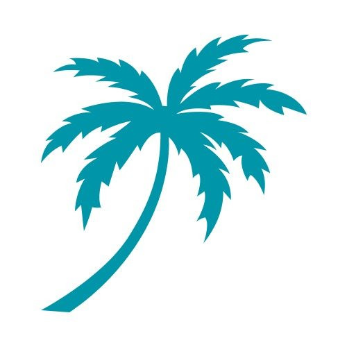 500x500 how to draw palm trees easy elegant elegant palm trees drawing