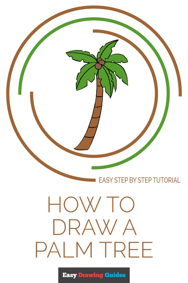 600x900 How To Draw A Palm Tree Diy Drawing Tutorials For Kids