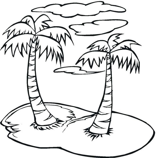660x669 Palm Tree Coloring Boom