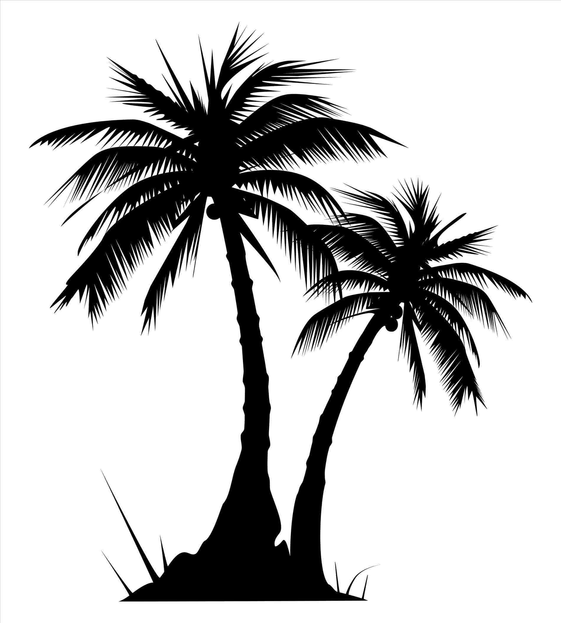 1900x2107 Drawing Pictures Of Palm Trees