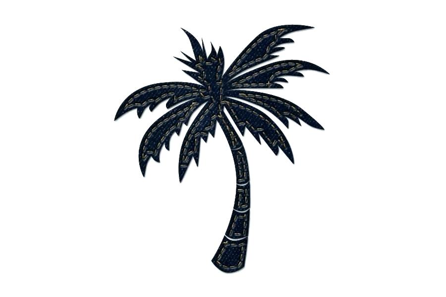 900x600 Easy Palm Tree Drawing How To Draw Palm Trees Step Easy Palm