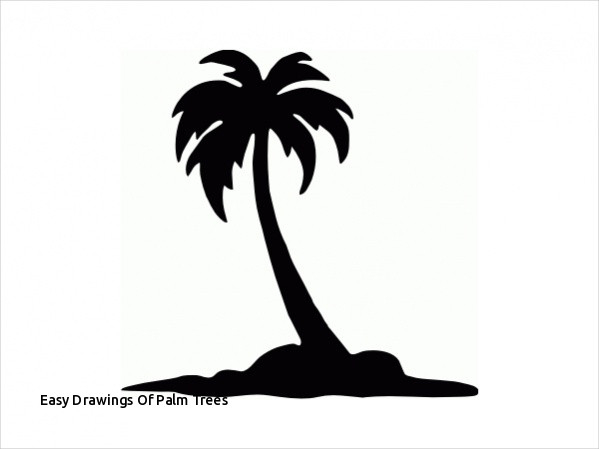 599x449 Great How To Draw Cabbage Palm Tree Stepstep Drawing Tutorials