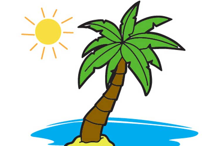 750x500 How To Draw A Palm Tree Step