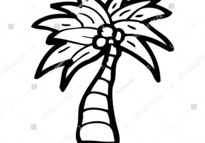 300x210 Drawing Palm Tree How To Draw A Palm Tree
