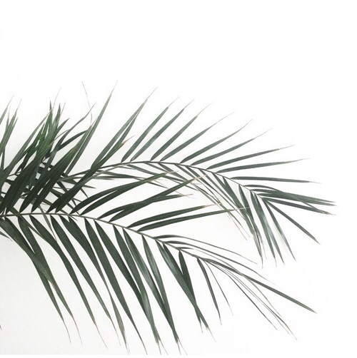 500x502 Gloriously Via Tumblr Uploaded