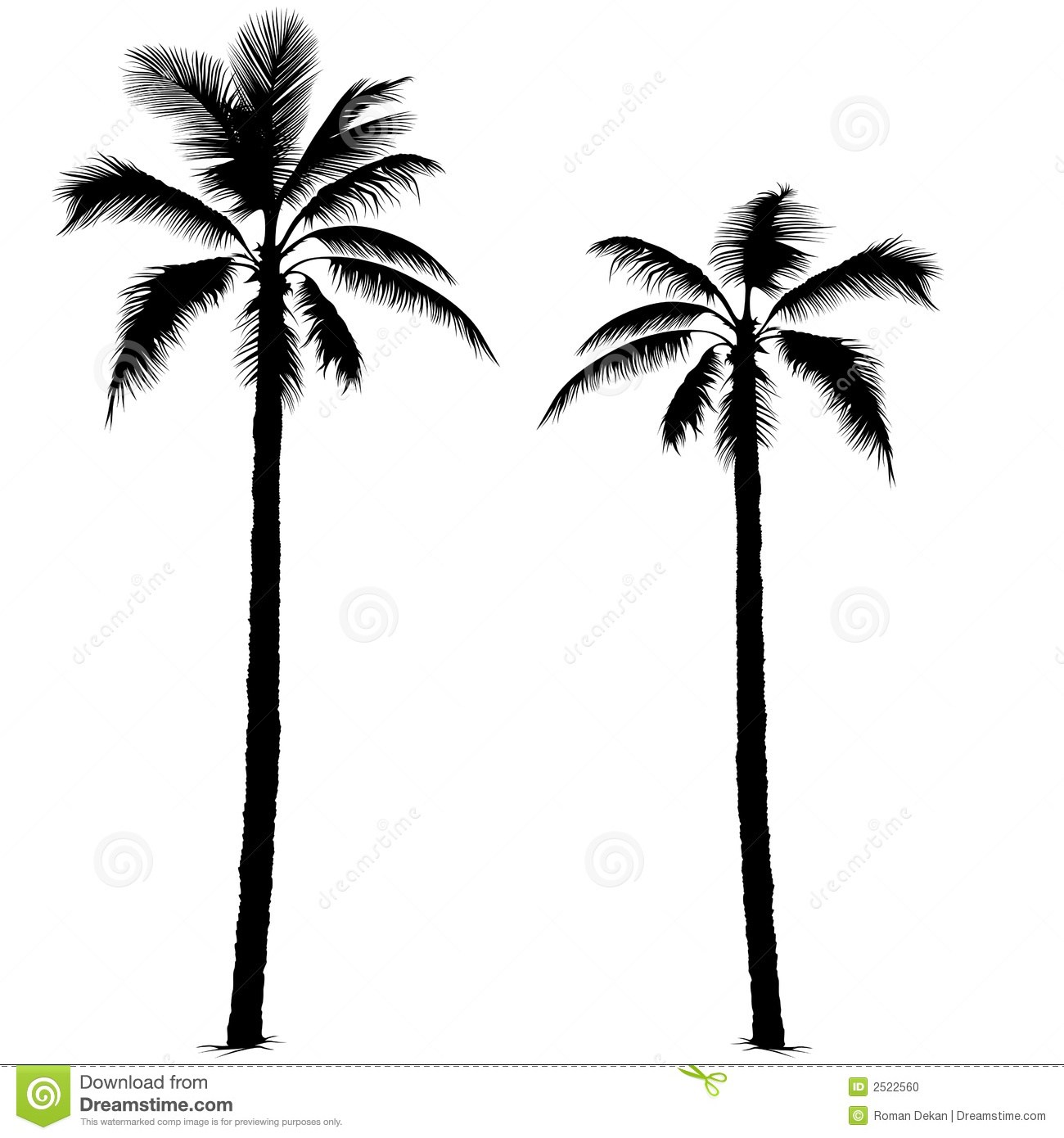 1300x1390 Palm Tree Drawing Sketch Tumblr