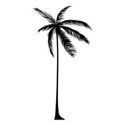 256x256 Palm Tree Tumblr Clipart Png Images