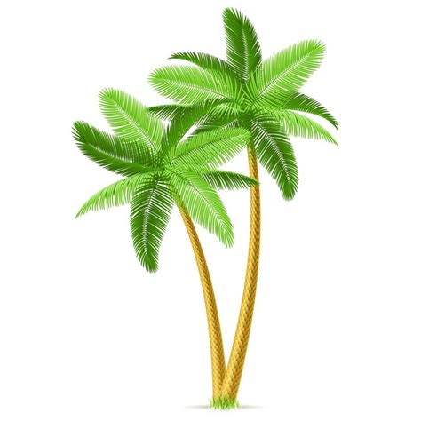 474x474 Palm Trees Tumblr Background Emoji