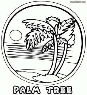 292x320 Tag For Palm Trees Tumblr Palm Tree Coloring Pages To Download