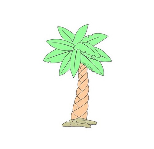 500x484 Transparent Cartoon Palm Tree