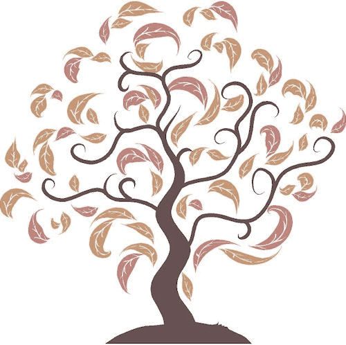 500x498 Collection Of Free Genealogies Clipart Tumblr Tree Download On Ui Ex