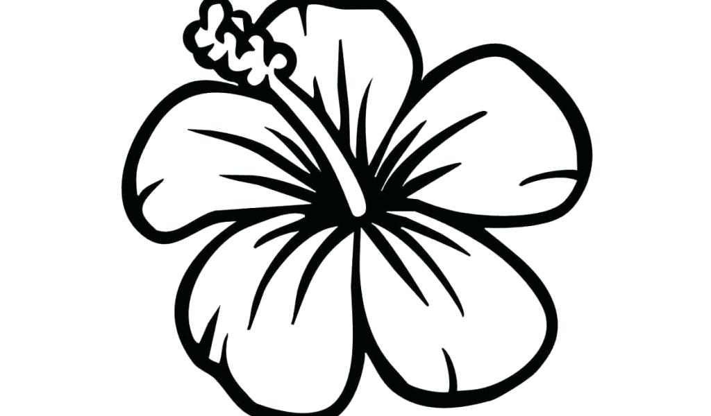 1024x600 Draw Tumblr Easy