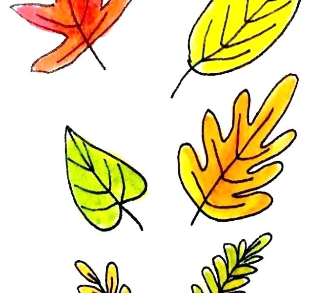 678x600 Easy To Draw Leaves Drawing A Red Maple Leaf Image Titled Easy