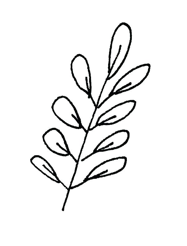 600x791 How To Draw Leafs Leaf Drawing Draw Leaves Easy