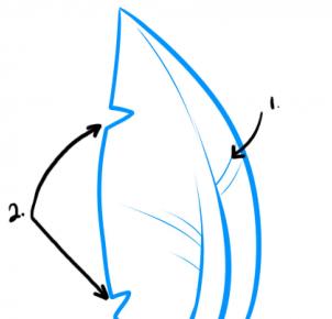 302x290 How To Draw Palm Trees, Step