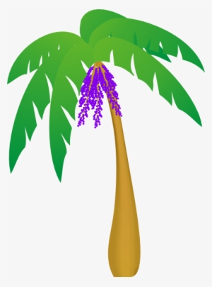 300x405 Palm Tree Leaf Png Images Png Cliparts Free Download On Seekpng