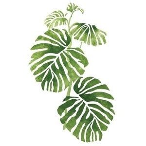 300x300 Leaves Illustration Watercolor Art, Stencil Art, Drawings