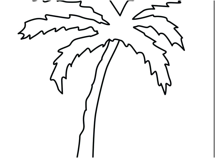 Palm Tree Leaves Drawing | Free download on ClipArtMag