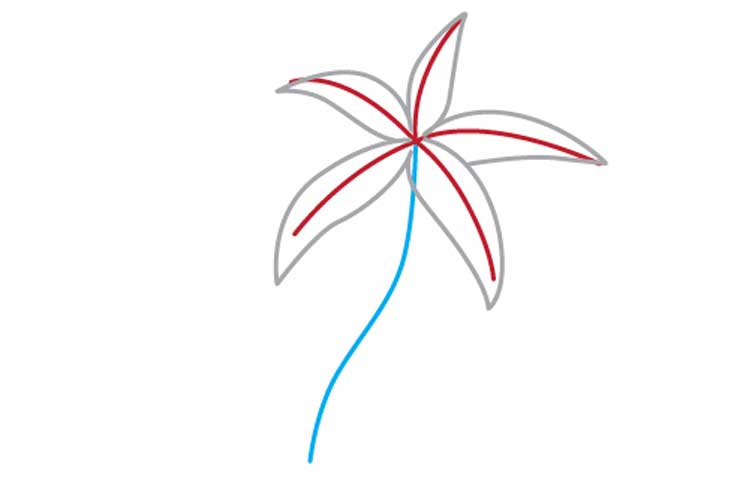 750x500 How To Draw A Palm Tree Step