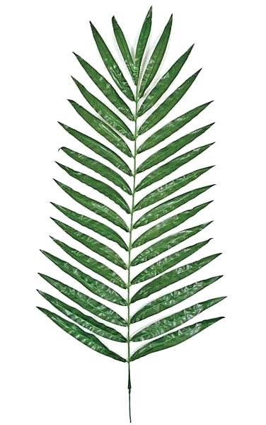 376x600 Cartoon Palm Tree Leaves Background Of On White Royalty Free