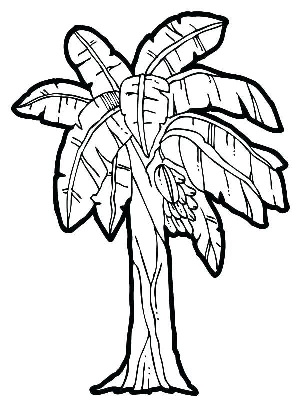 600x819 Leaf Coloring Pages Banana Line Drawing Leaves Coloring Pages