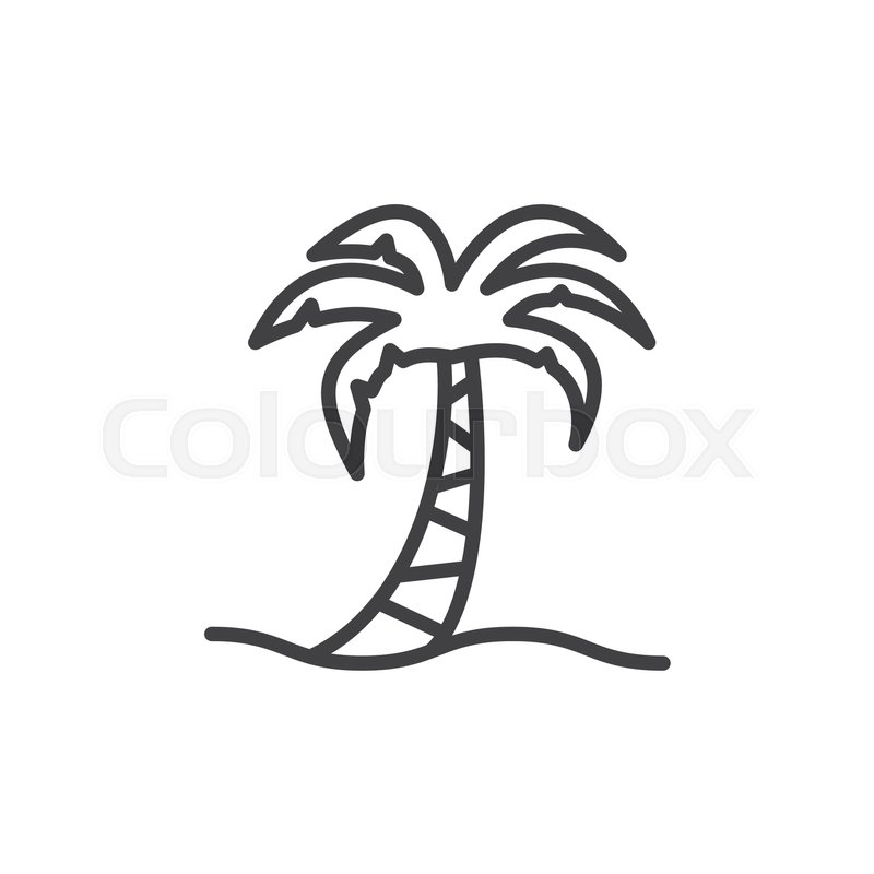 800x800 Palm Tree Line Icon, Outline Vector Stock Vector Colourbox