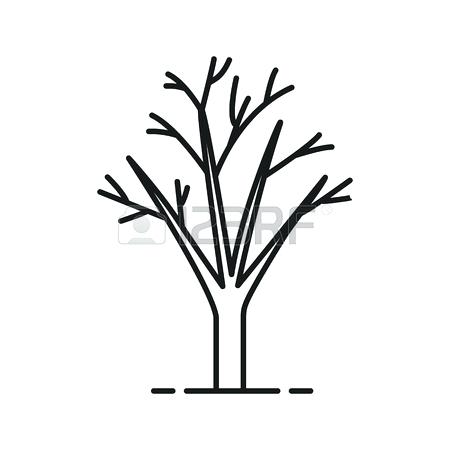 450x450 Trees Without Leaves Drawing Tree Without Leaves Linear Icon Thin