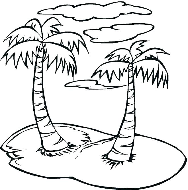660x669 Printable Coloring Pages Of Palm Trees