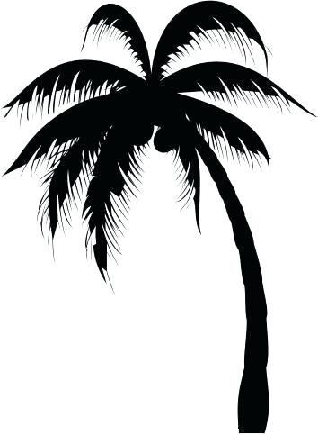 354x483 Easy Palm Tree Palm Tree Easy Easy Palm Trees To Draw