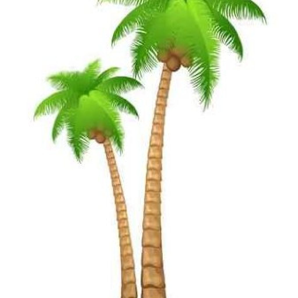 1024x1024 Palm Clipart Pencil Clipart House Clipart Online Download