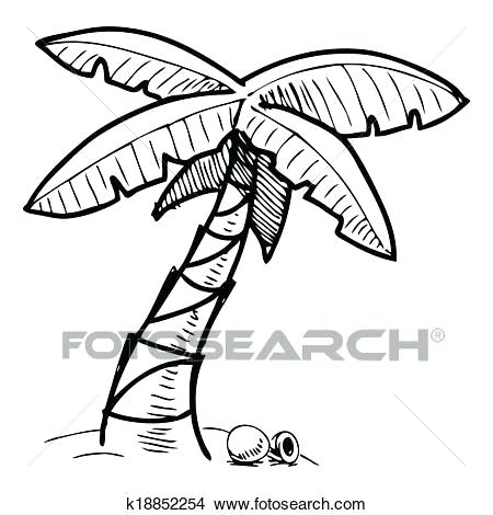 450x470 Sketch Palm Tree Pencil Sketch Palm Tree