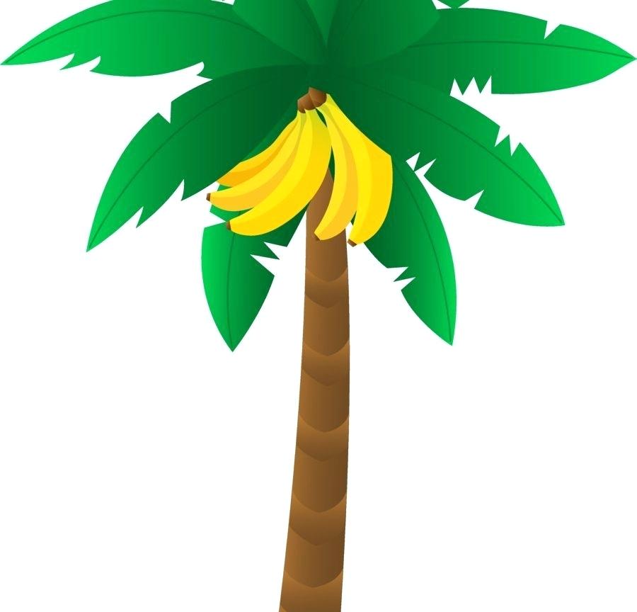 900x864 Tree Drawing Simple Simple Tree Drawings Palm Tree Drawing Steps