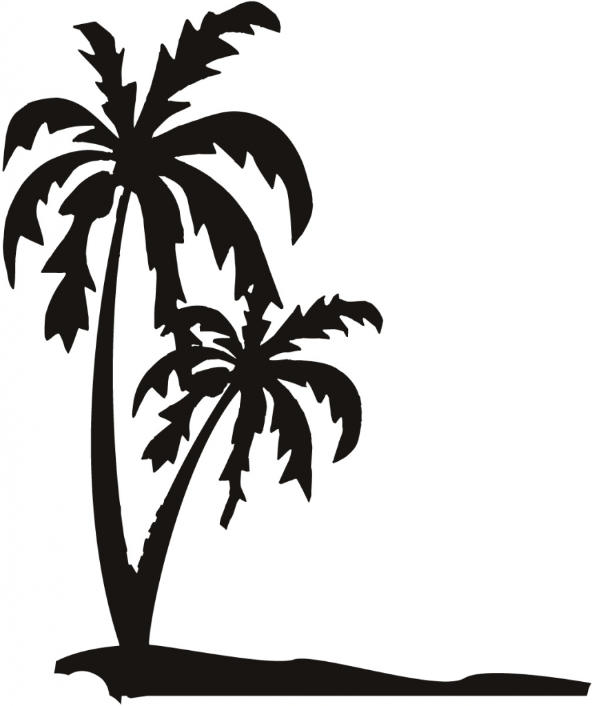 859x1024 California Palm Trees Drawing