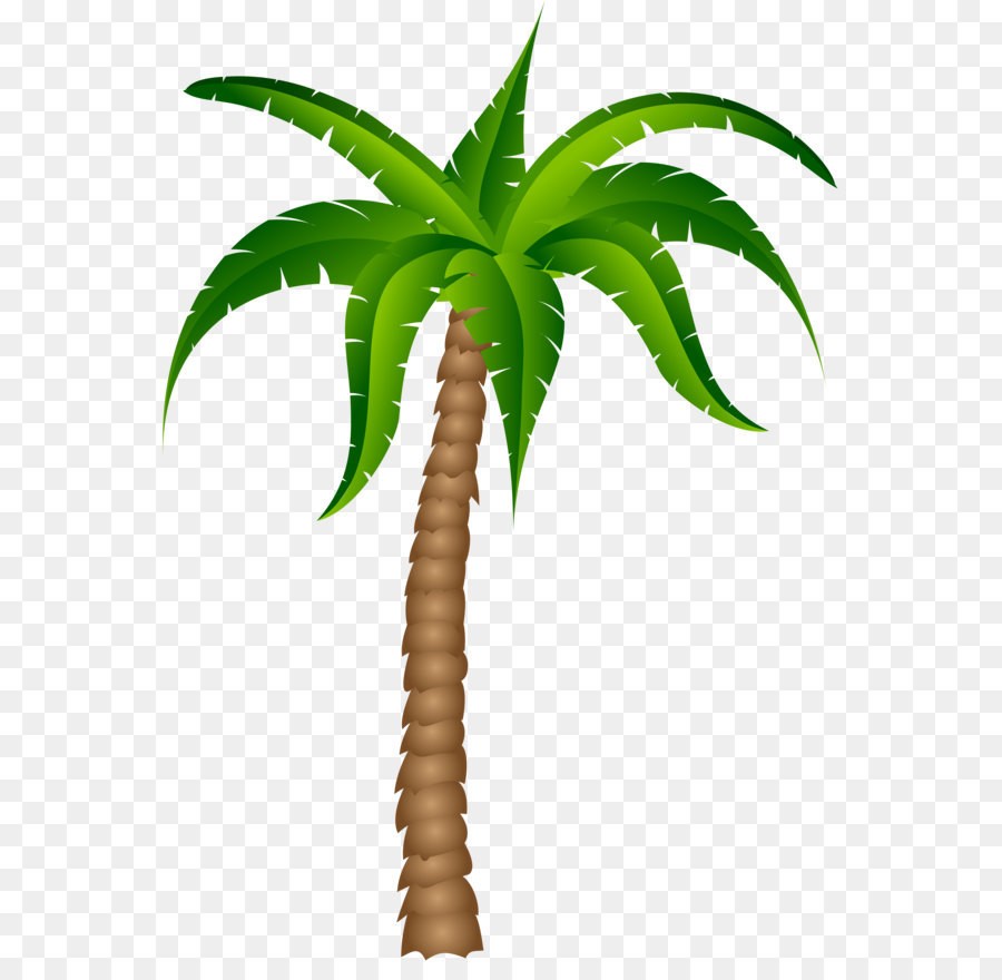 900x880 Kisscc0 Palm Trees Drawing Computer Icons Silhouette Palm Tree