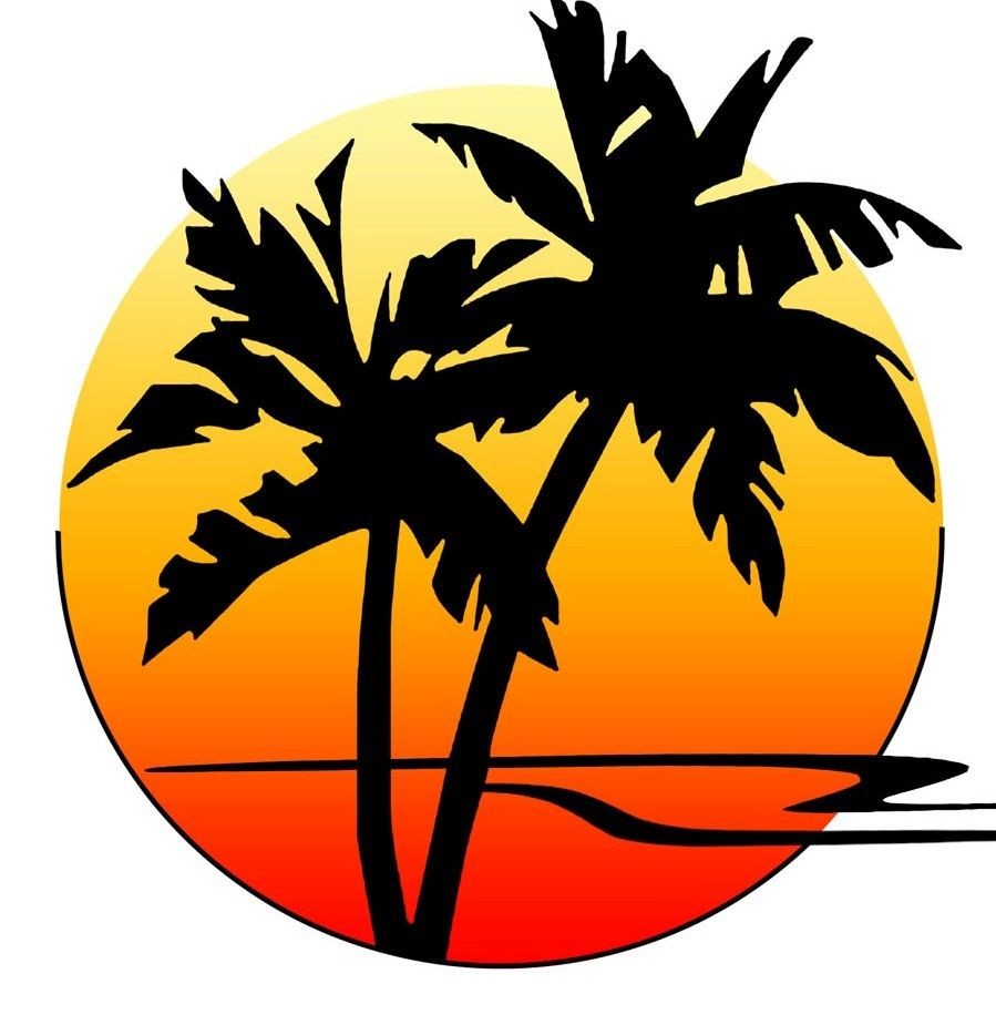 899x925 Palm Tree Beach Drawing