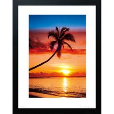 236x236 Awesome Palm Tree Print Images Texture, Backgrounds, Draw