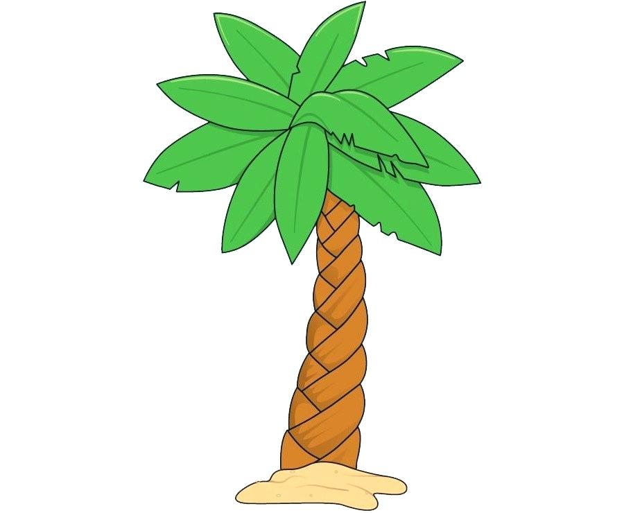 900x740 Drawing Palm Trees Landscape Drawing Palm Trees