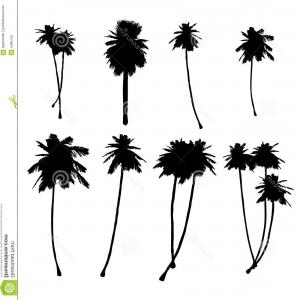 300x300 How To Draw Palm Trees New Line Drawing A Palm Tree At Getdrawings