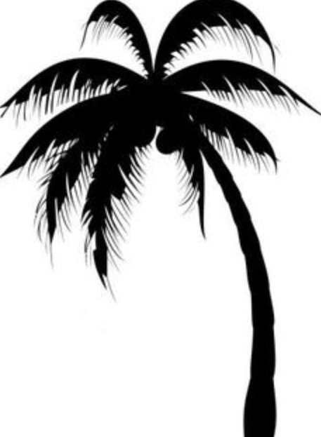 457x623 Palm Tree Drawing