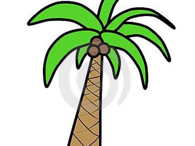 640x480 Palm Tree Picture Frames Free Download Clip Art