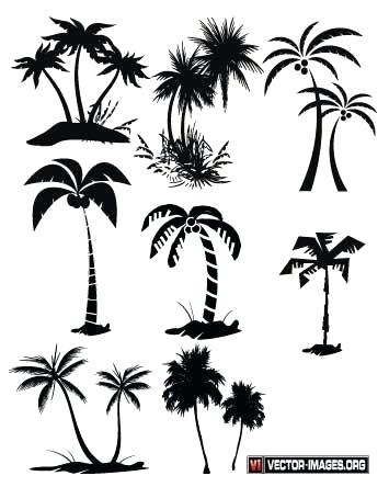 355x444 Palm Tree Stencil Palm Tree Stencils For Painting