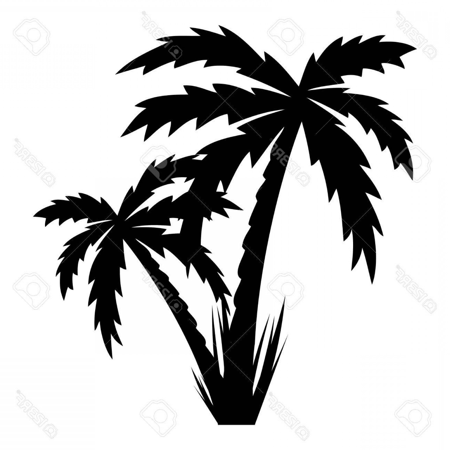 1560x1560 Palmetto Tree Vector Sohadacouri