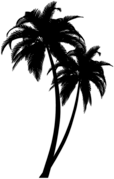 390x609 Transparent Shadows Palm Tree Transparent Png Clipart Free