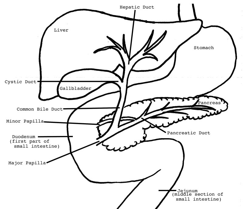 800x687 Midwest Stone Institute
