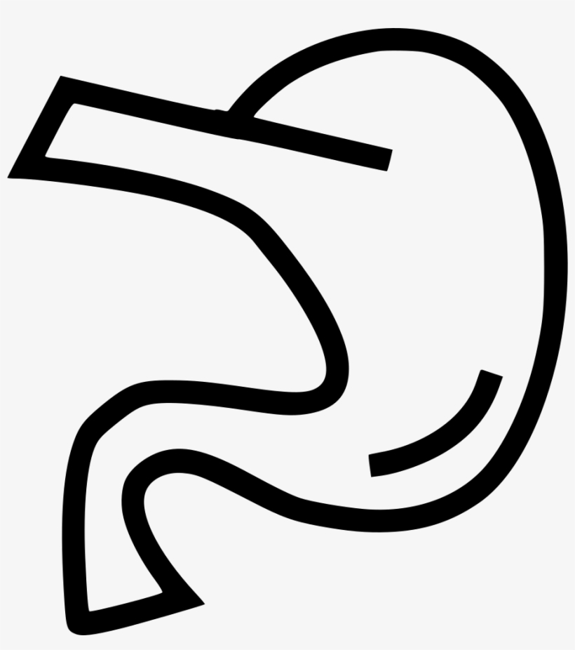 820x926 Pancreas Anatomy Organ Comments