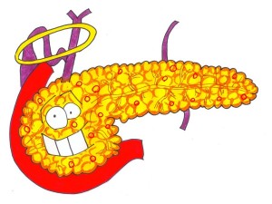 300x225 Pancreas Colon Talk