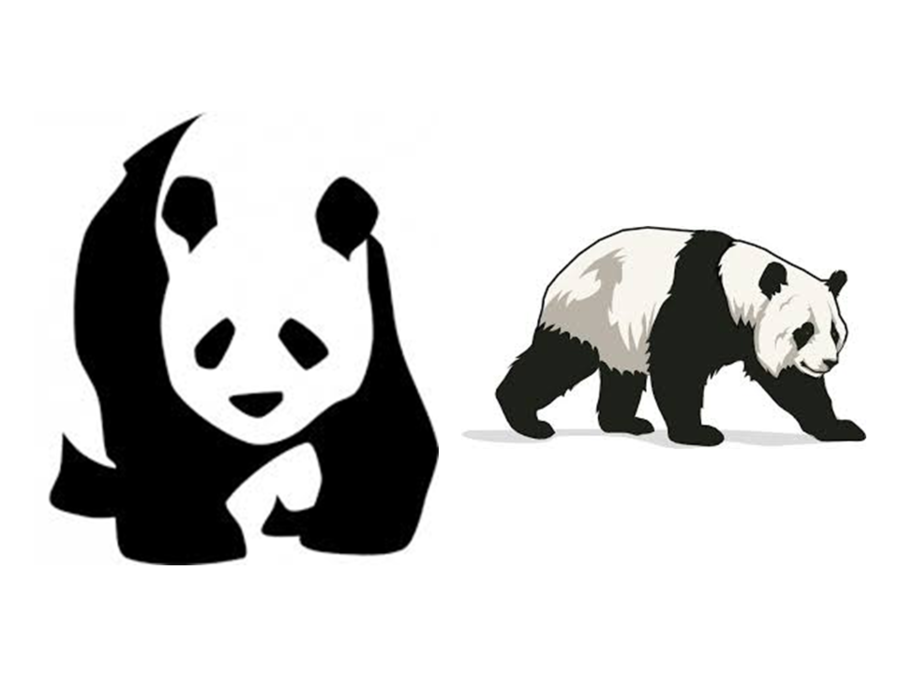 900x675 Bear, Drawing, Graphics, Transparent Png Image Clipart Free Download