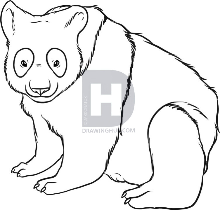 753x720 How To Draw A Panda, Step