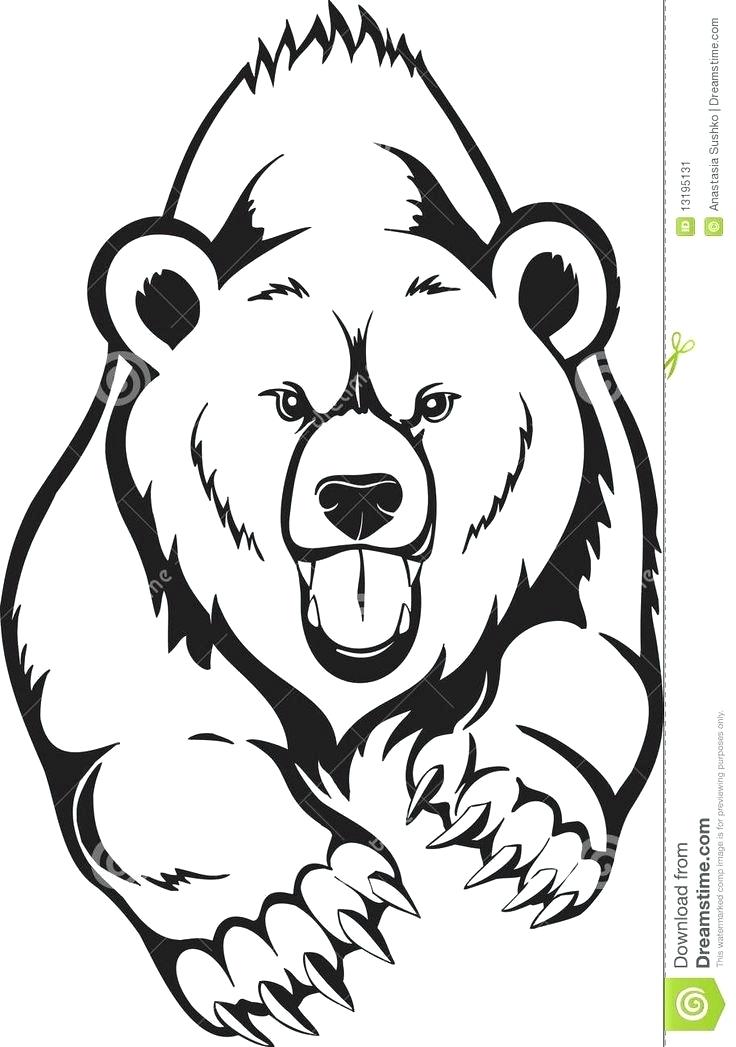 736x1047 Simple Bear Drawing Simple Bear Drawing Simple Line Drawing Teddy