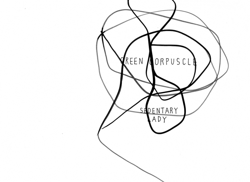 825x600 Mark Booth Drawings Panda Bear Insemination Team Picnic